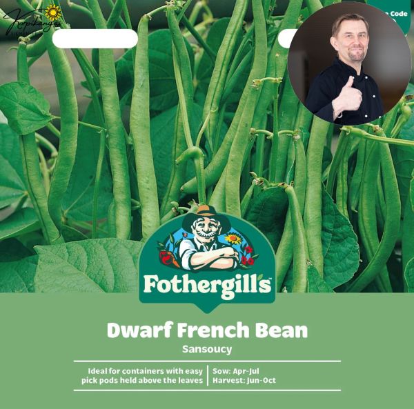 Buskböna, brytböna